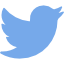 Twitter Icon